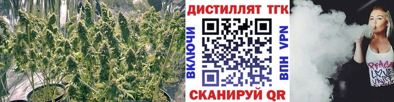 Купить  Кохма  ТГК жижа 